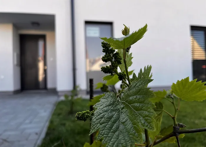Apartmany Mikulovske Zahrady