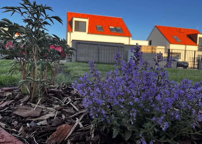 Apartmany Mikulovske Zahrady
