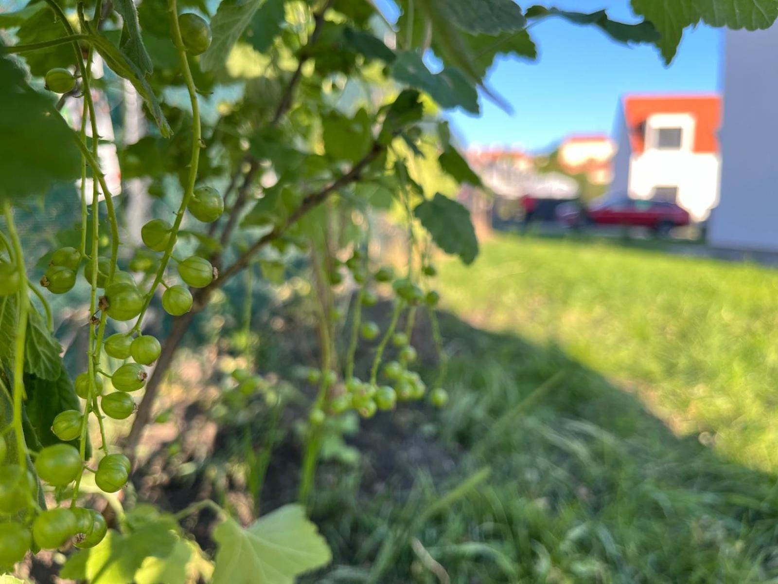 Apartmán Mikulovske Zahrady Mikulov